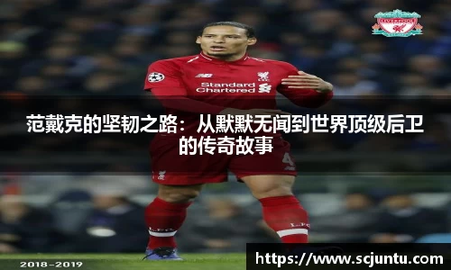 范戴克的坚韧之路：从默默无闻到世界顶级后卫的传奇故事